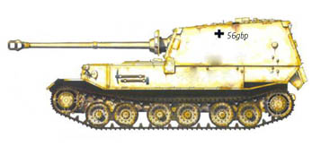 Ferdinand